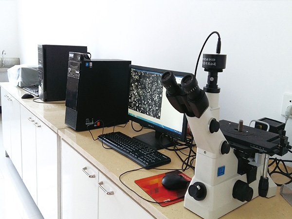 廠(chǎng)區(qū)內(nèi)景